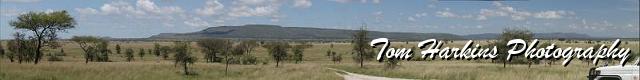 The Mighty Serengeti.jpg